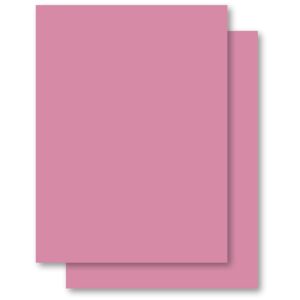 Papel Cartolina Rosa Escolar 50 x 66 cm 140 g.